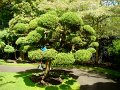 DSC08693