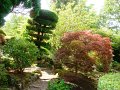 DSC08694