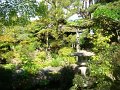 DSC08704