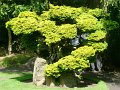 DSC08706