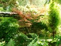 DSC08707