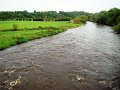 DSC08725