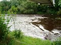 DSC08727