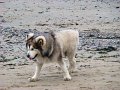 DSC08859