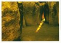 Scan03