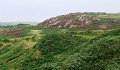 DSC09168