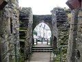 DSC09226