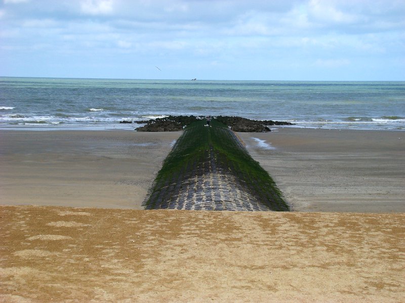 DSC03353.JPG - Many many groynes