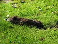 DSC03830