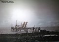 DSC03935