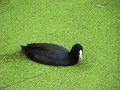 DSC04320