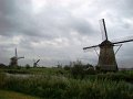 DSC04341