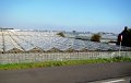 DSC04005