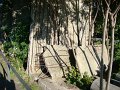 DSC04917
