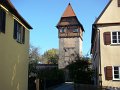 DSC05231
