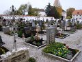 DSC05386