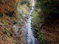 DSC05495