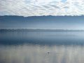 DSC05635