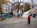 DSC05785