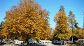 DSC05830