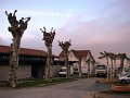 DSC07328