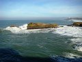DSC07367