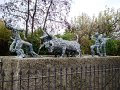 DSC07709
