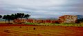 DSC08193