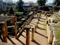 DSC08320