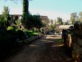 DSC08341
