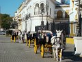 DSC08685