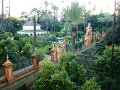 DSC08776