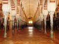 DSC08854