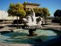 DSC08879