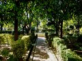 DSC08907