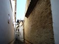 DSC08927