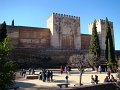 DSC09040