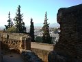 DSC09095