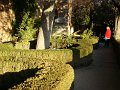 DSC09114