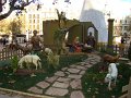 DSC09510