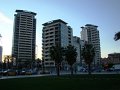 DSC09842