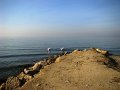 DSC00015
