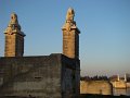 DSC09954