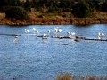 DSC00138
