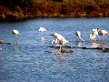 DSC00139
