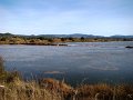 DSC00141