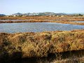 DSC00145