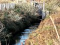 DSC00150