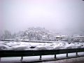 DSC00461