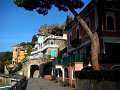 DSC00556